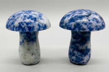 (set of 2) 1 3/4" Mushroom Sodalite