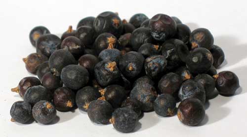 1 Lb Juniper Berries Whole (Juniperus communis)